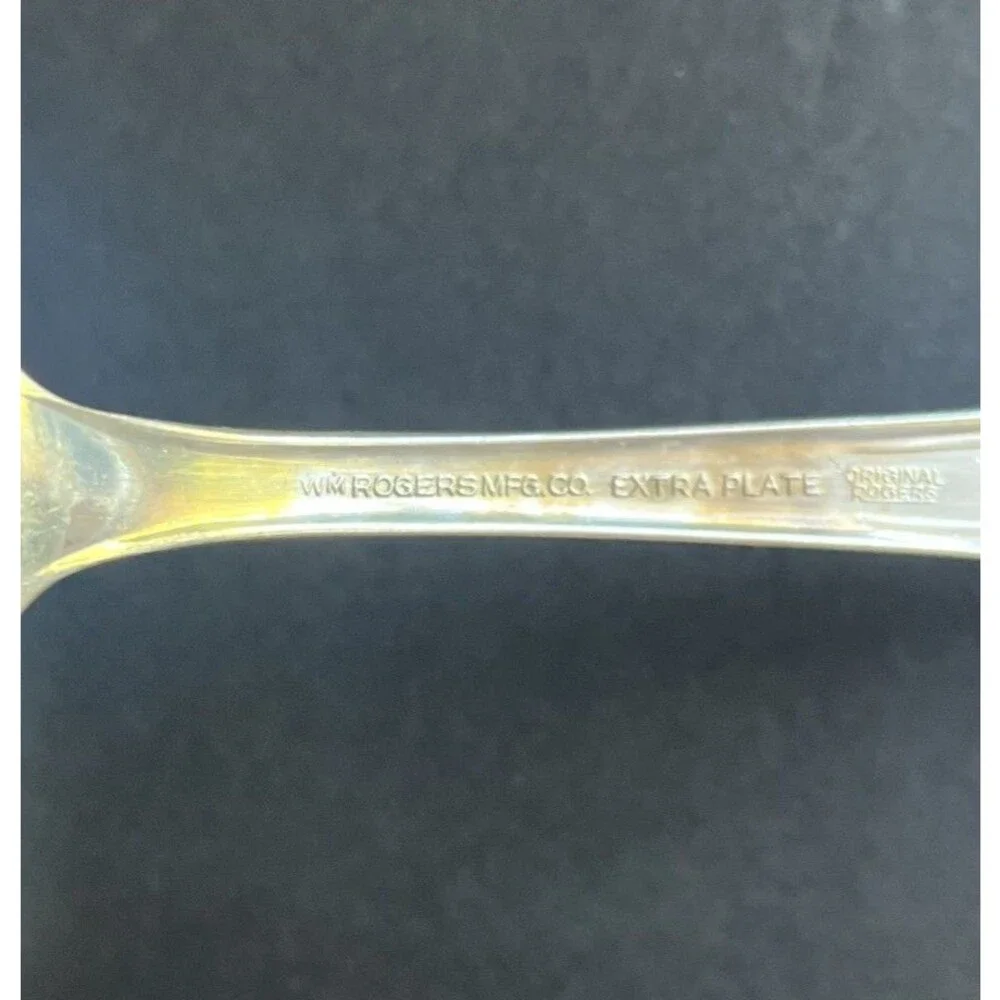 Wm Rogers Mfg Co Extra Plate Original Rogers Magnolia 9